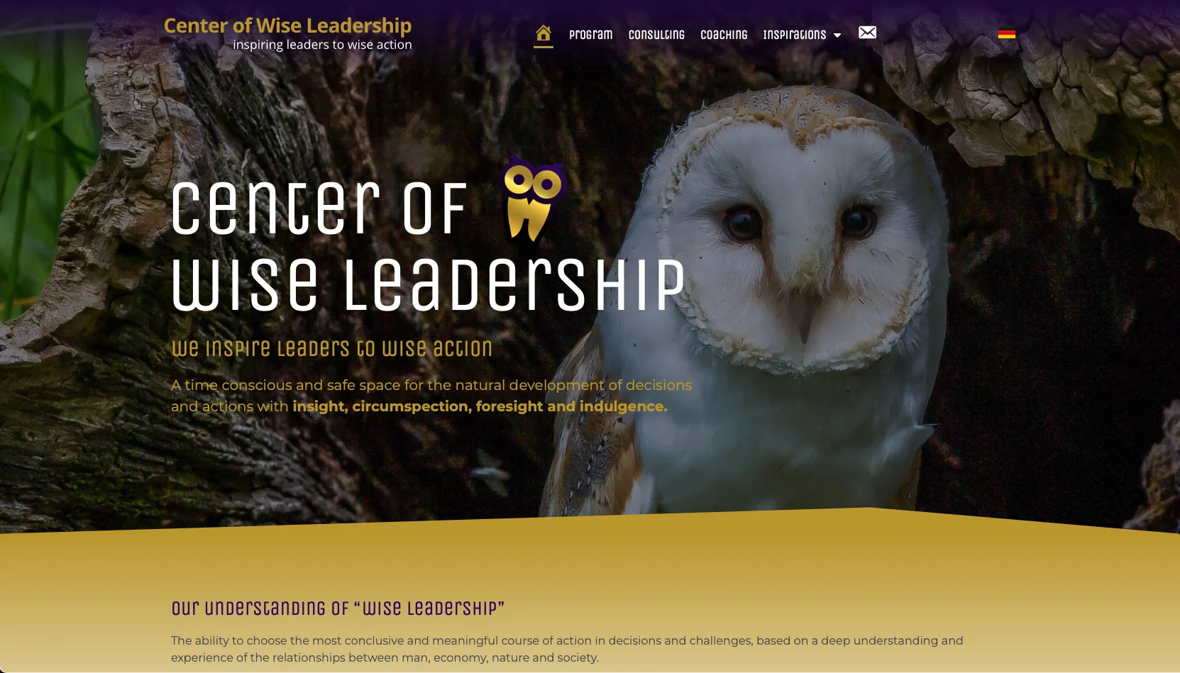 Wise_leadership